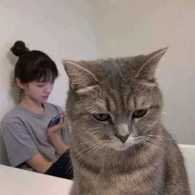 终是惊鸿照影