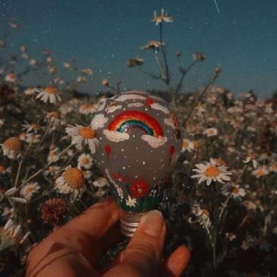 运筹帷幄胖登登